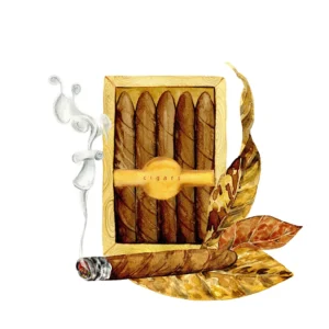 Cigar